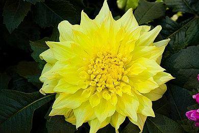 2023年夏日游戏节汇总：诸多优秀作品亮相发布会